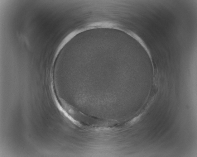 X0000081411389200701191518
