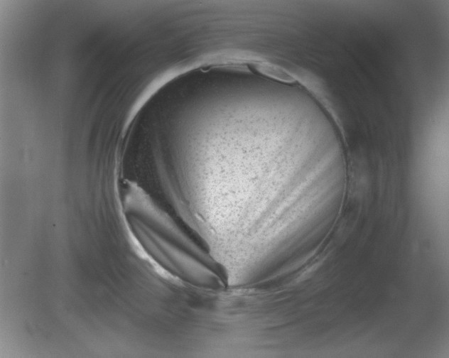 X0000081411390200701191518