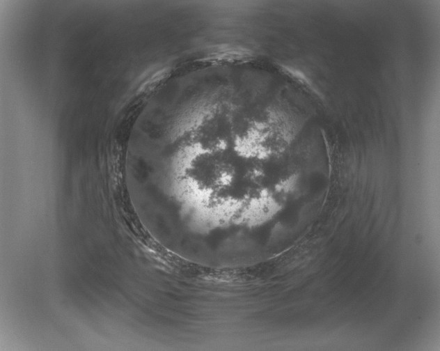 X0000081411399200701191518