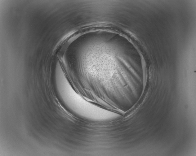 X0000081411402200701191518