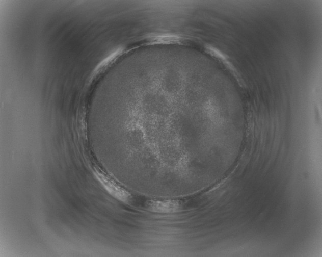X0000081411403200701191518