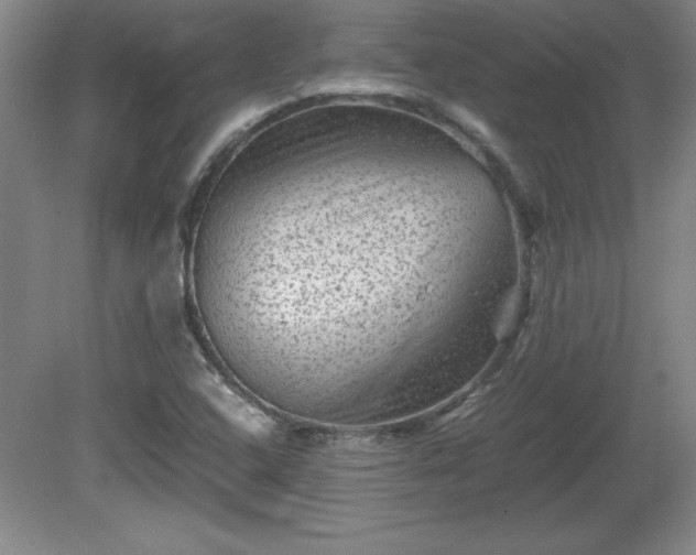 X0000081411408200701191518