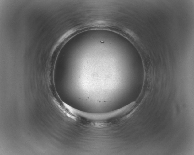 X0000081411410200701191518