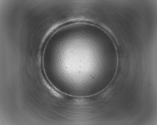X0000081411416200701191518