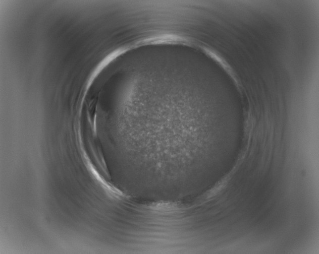 X0000081411418200701191518
