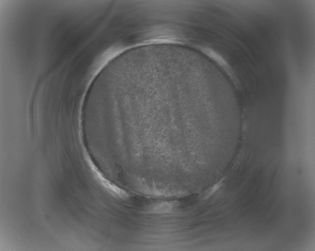 X0000081411423200701191518