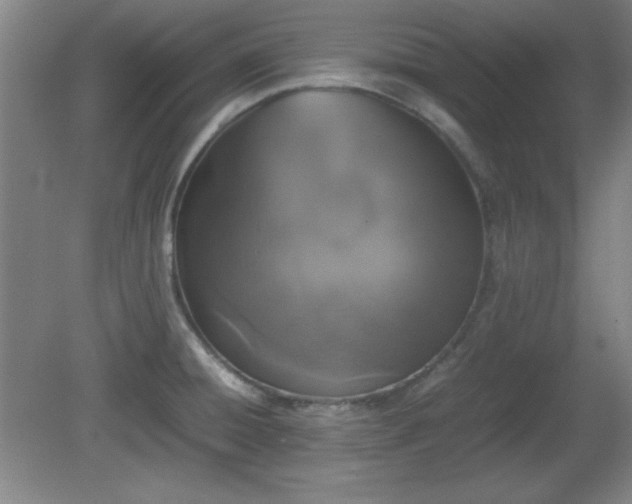 X0000081411428200701191518