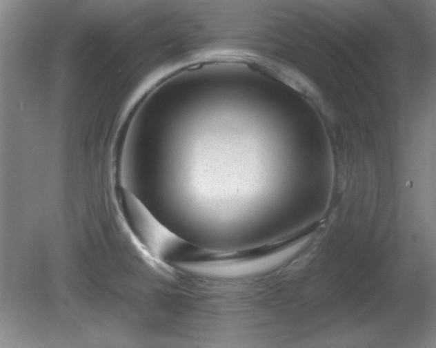 X0000081411430200701191518