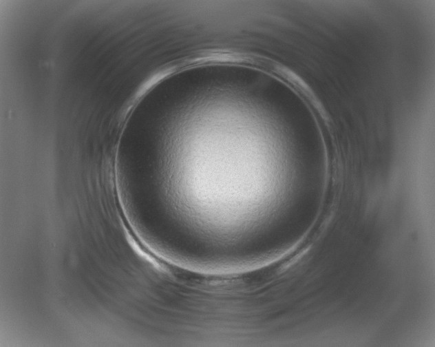 X0000081411433200701191518