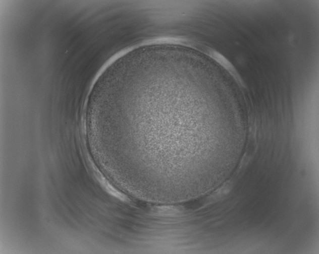 X0000081411436200701191518
