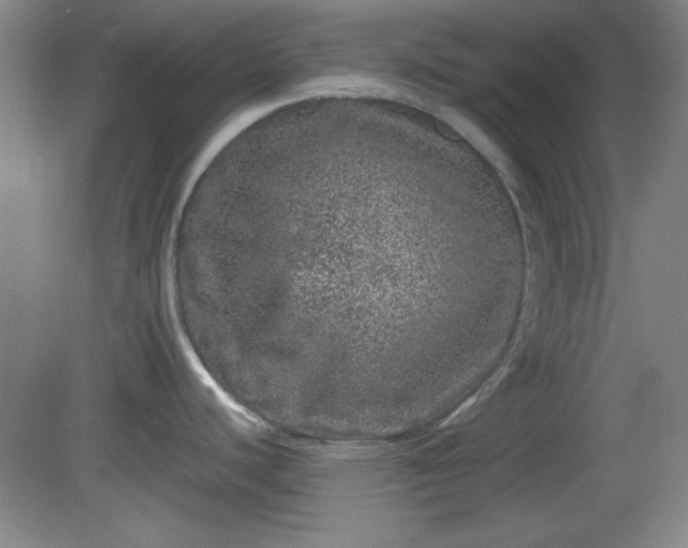 X0000081411440200701191518