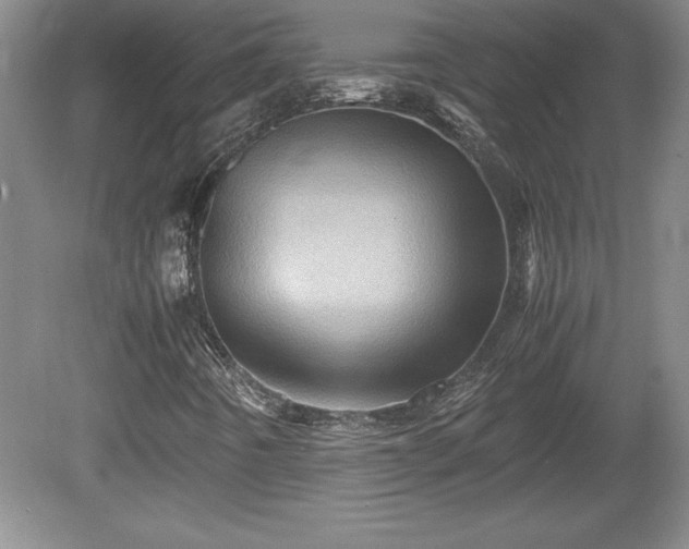 X0000081411442200701191518