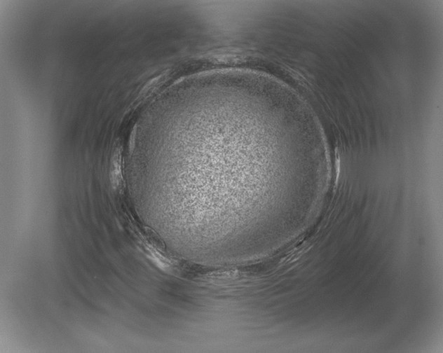 X0000081411444200701191518