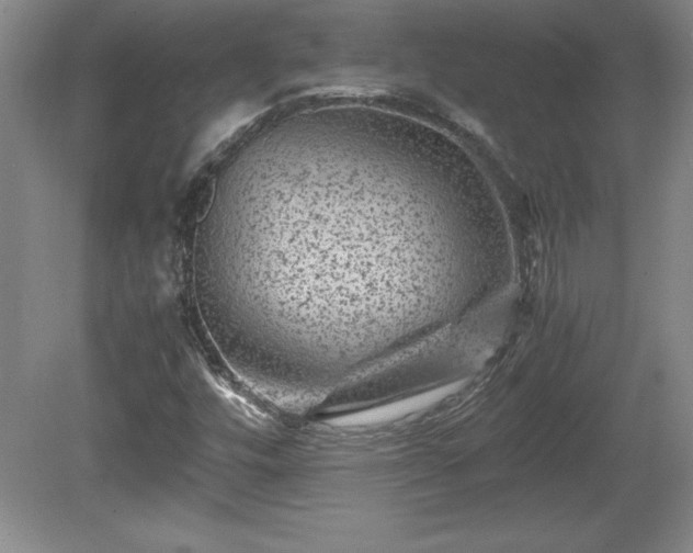 X0000081411448200701191517