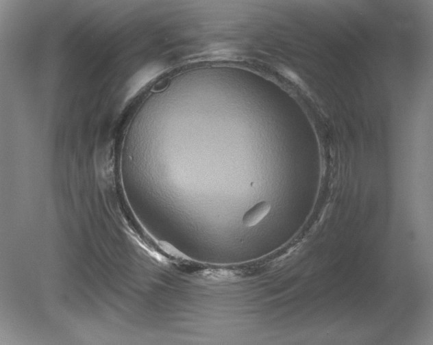 X0000081411450200701191517