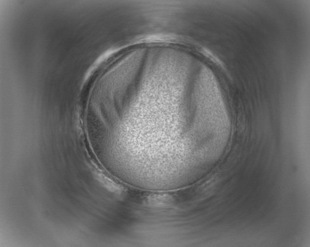 X0000081411454200701191517