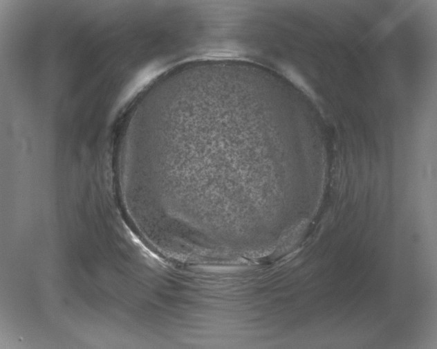 X0000081411456200701191517