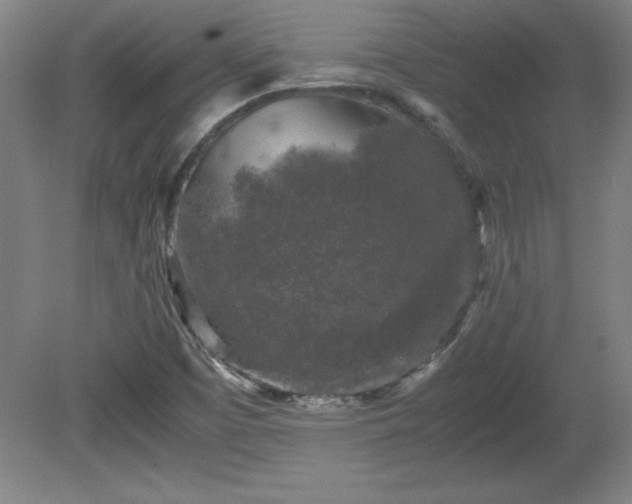 X0000081411457200701191517