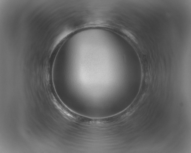 X0000081411458200701191517