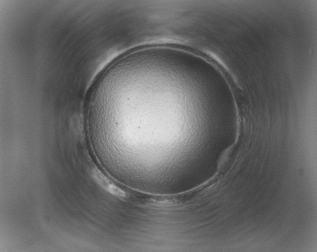 X0000081411460200701191517
