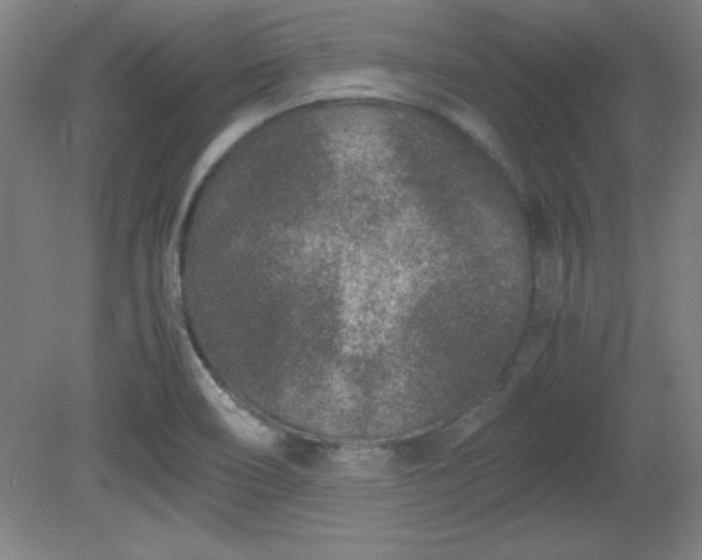 X0000081411466200701191517
