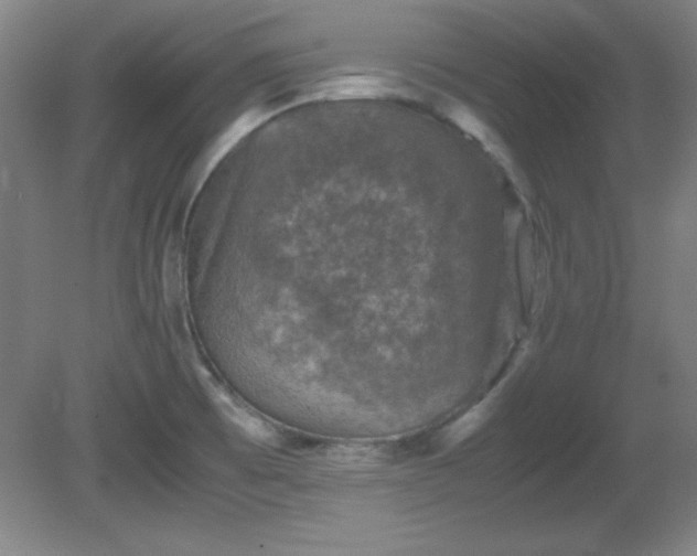X0000081411473200701191517