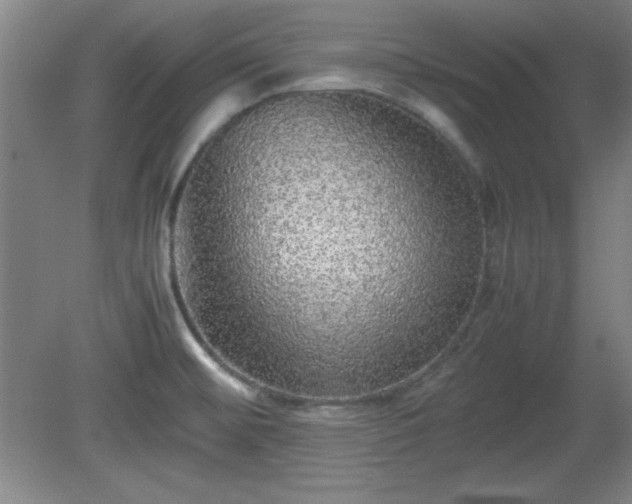 X0000081411476200701191517