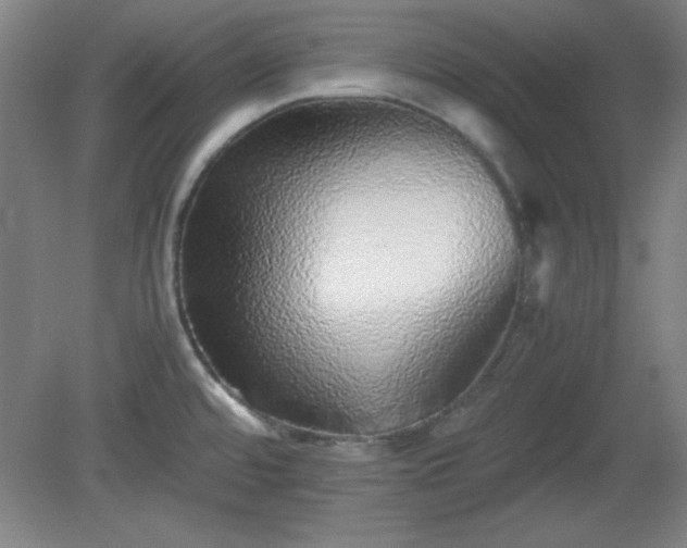 X0000081411480200701191517