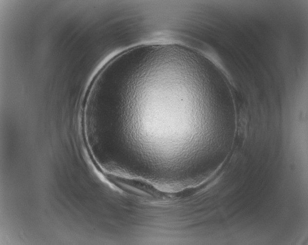 X0000081411484200701191517