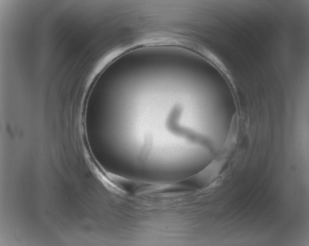 X0000081411485200701191517