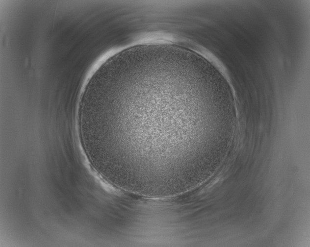 X0000081411488200701191517