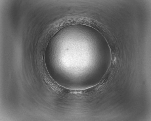 X0000081411489200701191516
