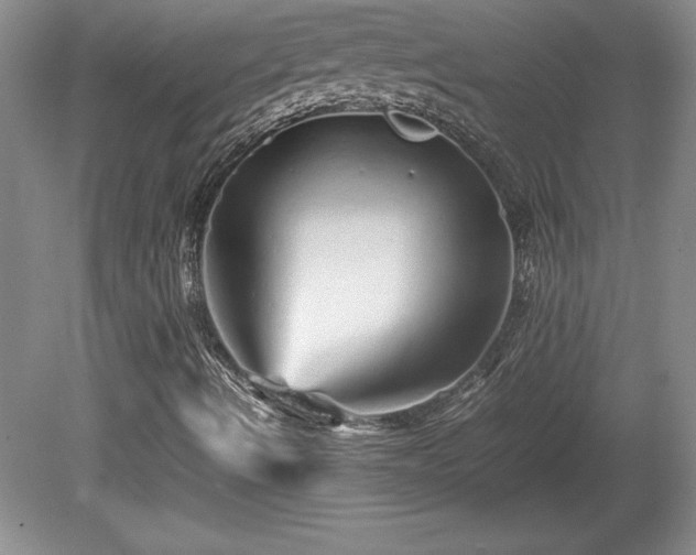 X0000081411490200701191516