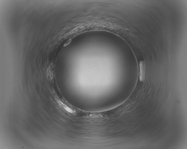 X0000081411491200701191516