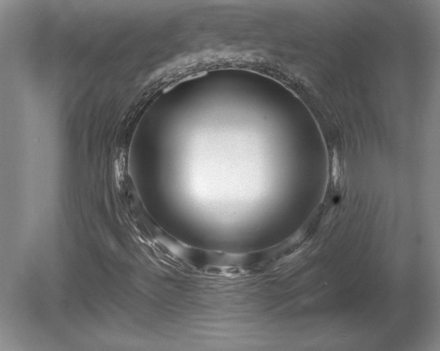X0000081411492200701191516