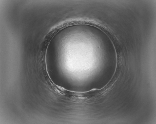 X0000081411494200701191516