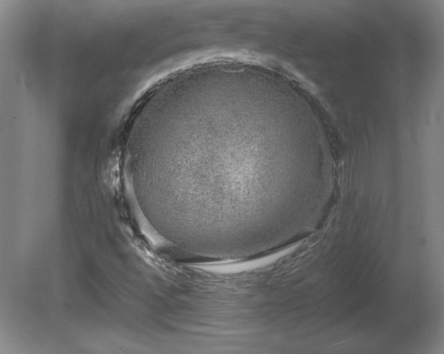 X0000081411496200701191516