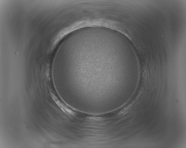 X0000081411499200701191516