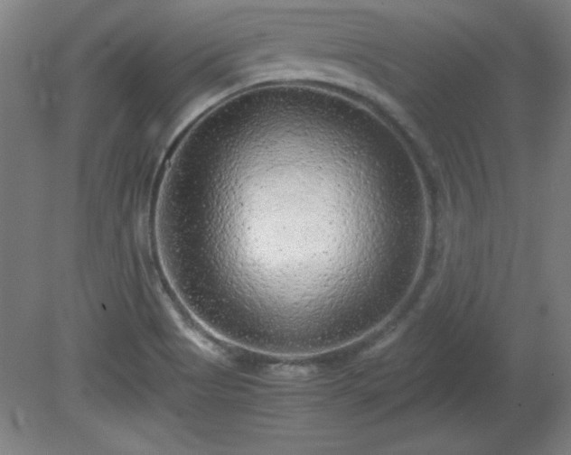 X0000081411513200701191516