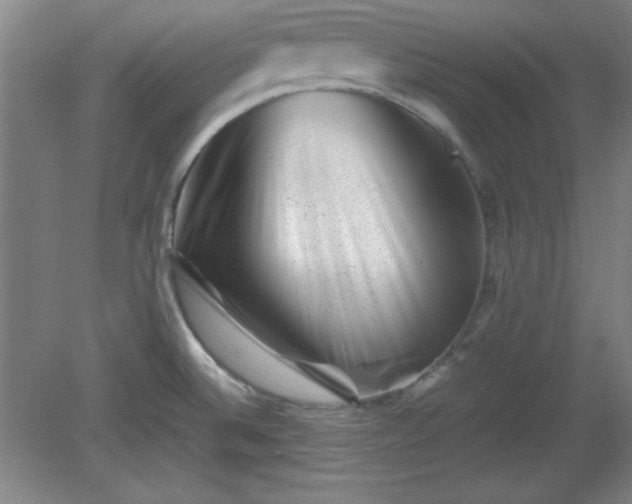 X0000081411524200701191517