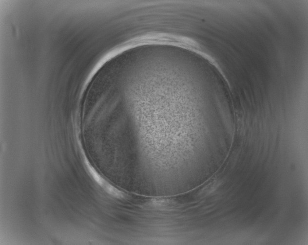 X0000081411531200701191517