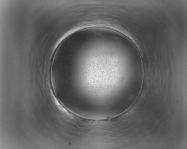 X0000081411534200701191517