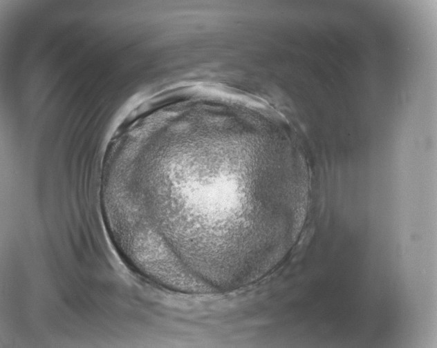 X0000081410003200701261836