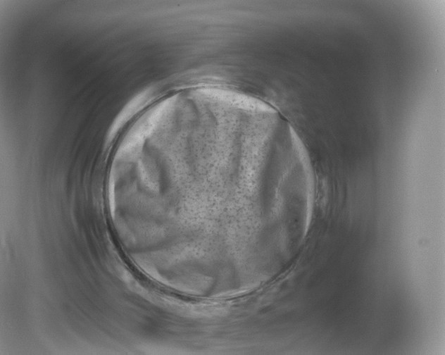 X0000081410004200701261836