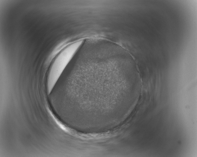 X0000081410005200701261836