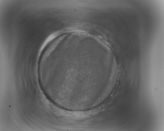 X0000081410006200701261836