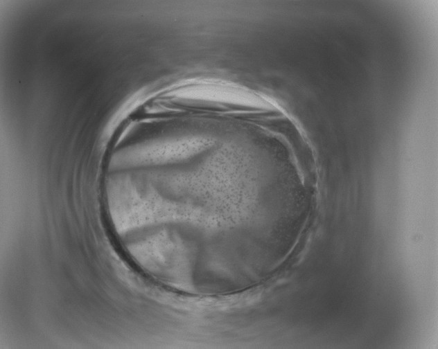 X0000081410007200701261836