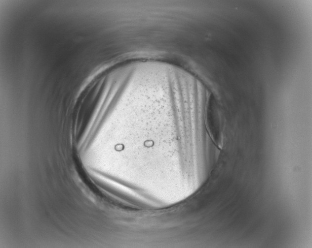 X0000081410011200701261835
