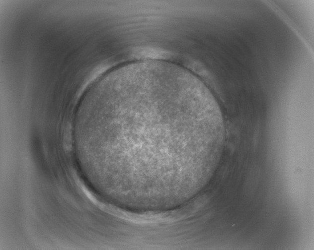 X0000081410012200701261835