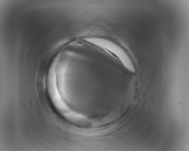 X0000081410019200701261835